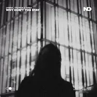 Lynnic — Why Don’t You Stay (Extended Mix) Ft Itsarius & Dinia — обложка